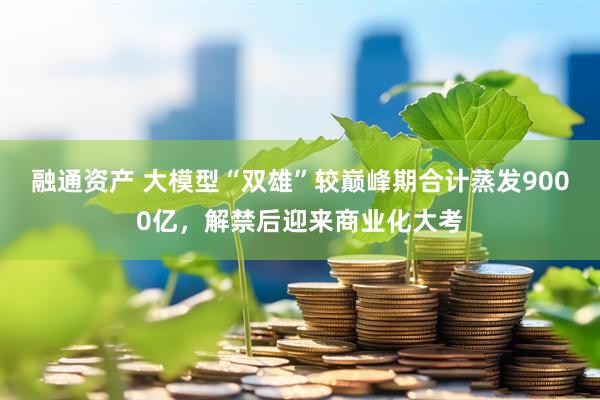 融通资产 大模型“双雄”较巅峰期合计蒸发9000亿,解禁后迎来商业化大考