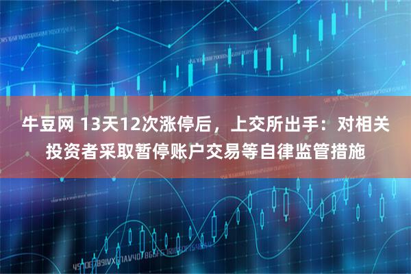 牛豆网 13天12次涨停后，上交所出手：对相关投资者采取暂停账户交易等自律监管措施