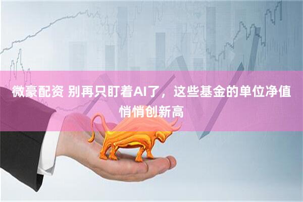 微豪配资 别再只盯着AI了，这些基金的单位净值悄悄创新高
