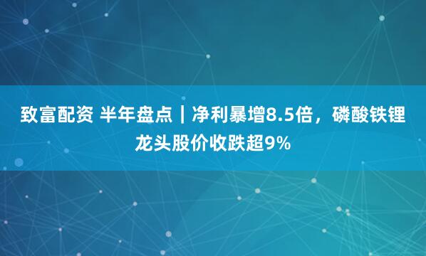 致富配资 半年盘点｜净利暴增8.5倍，磷酸铁锂龙头股价收跌超9%